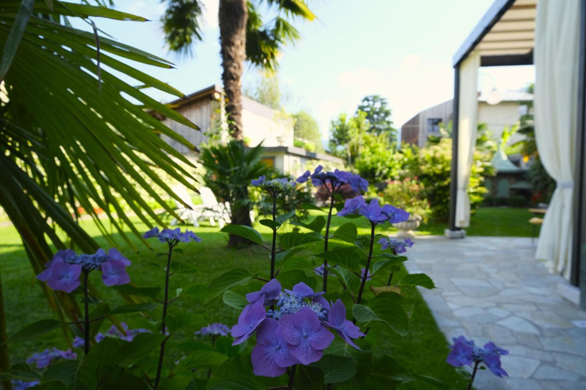 Residenza Laurum Mandello del Lario Εξωτερικό φωτογραφία